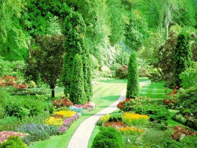 Beautiful Landscape